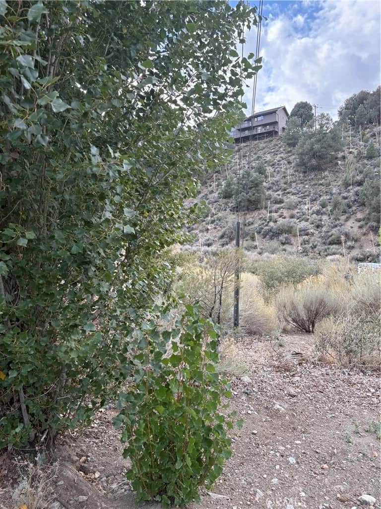 2505 Glacier, Pine Mountain Club, CA 93225 - Photo 5 of 6, Pine Mountain Club, CA