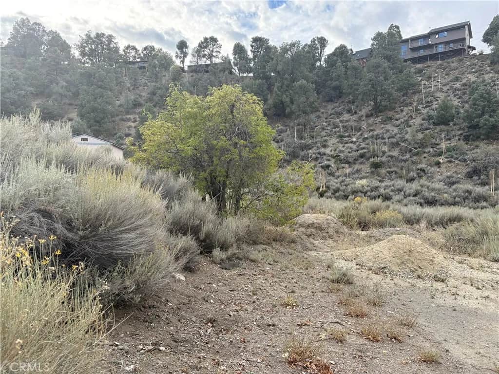 2505 Glacier, Pine Mountain Club, CA 93225 - Photo 4 of 6, Pine Mountain Club, CA