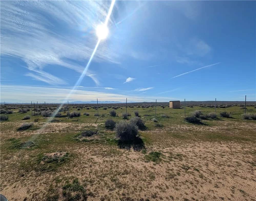 13251 135th Street, Edwards, CA 93523 - Photo 4 of 5, Edwards, CA